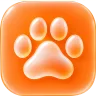 MeetPaw